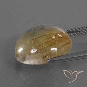 Quartz rutile Marron doré très clair naturelle Tour, 7.22 ct, Transparent