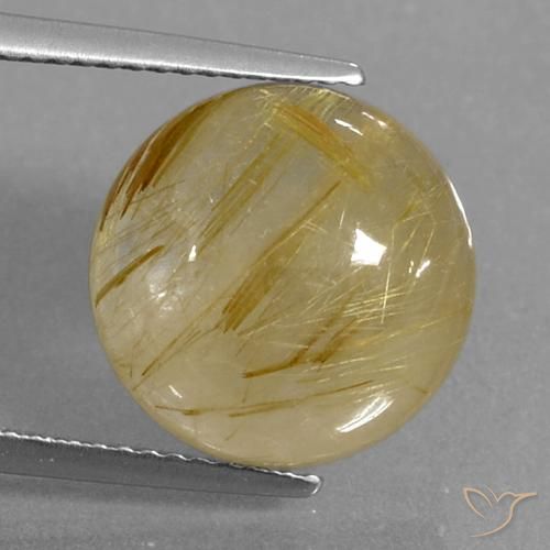 9.04ct Naturel Jaune Dijon Quartz rutile, Tour, Transparent