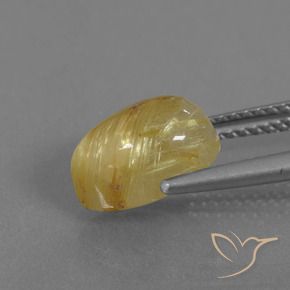 Quartz rutile Jaune Dijon naturelle En forme de poire, 3.17 ct, Translucide