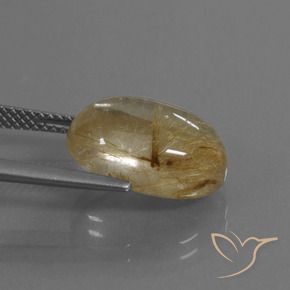 Quartz rutile Marron doré très clair naturelle ovale, 8.05 ct, Transparent