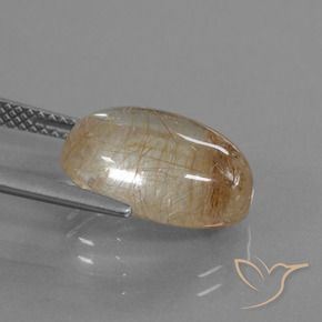 Quartz rutile Marron chaud naturelle ovale, 6.48 ct, Transparent