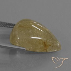 Quartz rutile Jaune clair naturelle En forme de poire, 24.63 ct, Translucide