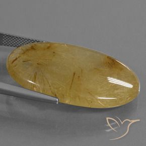 Quartz rutile Jaune doré naturelle ovale, 39.16 ct, Translucide