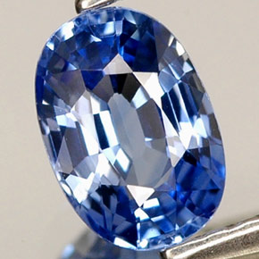 Saphir bleue naturelle coupe ovale, 0,79 ct, VVS-VS
