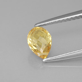 Saphir jaune naturelle briolette, 1,22 ct, VS