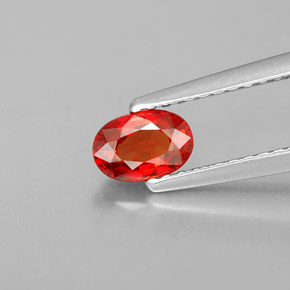 Saphir orange naturelle coupe ovale, 0,60 ct, VVS-VS