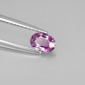 Saphir violet naturelle coupe ovale, 0,50 ct, VVS-VS