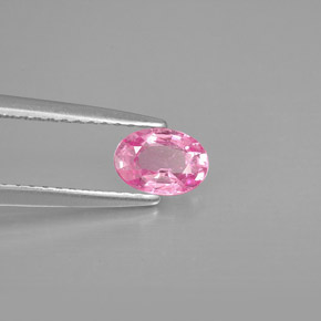 Saphir rose naturelle coupe ovale, 0,61 ct, VS