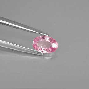 Saphir rose naturelle coupe ovale, 0,60 ct, VVS