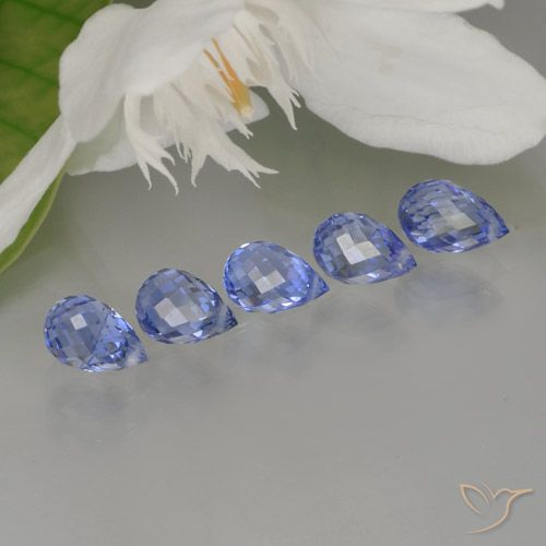 Achetez naturel 3,30ct intense blue  saphir gems, briolette, en provenance sri lanka chez gemselect. en stock, livraison internationale!