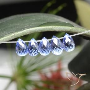 Shop natural 3.34ct Bleu pastel Saphir gems, Briolette, from Sri Lanka at GemSelect. In stock, global shipping!