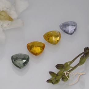 Achetez naturel 3,09ct multicolore saphir gems, trillion, en provenance tanzanie chez gemselect. en stock, livraison internationale!