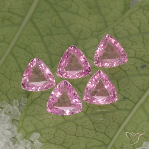 Achetez naturel 1,30ct rose saphir gems, trillion, en provenance tanzanie chez gemselect. en stock, livraison internationale!