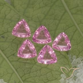 Achetez naturel 1,30ct rose saphir gems, trillion, en provenance tanzanie chez gemselect. en stock, livraison internationale!