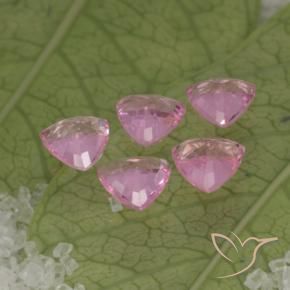 Achetez naturel 1,30ct rose saphir gems, trillion, en provenance tanzanie chez gemselect. en stock, livraison internationale!