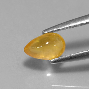 Saphir jaune naturelle transparent, 0,59 ct, transparent / translucide