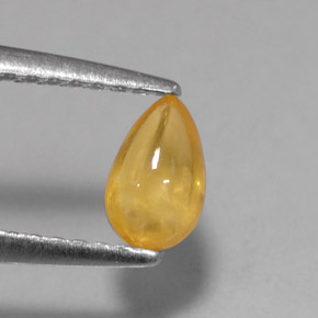 Saphir jaune naturelle transparent, 0,59 ct, transparent / translucide
