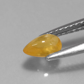 Saphir jaune naturelle transparent, 0,59 ct, transparent / translucide