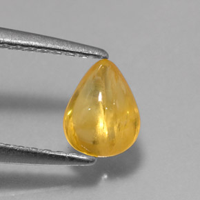 Saphir jaune naturelle transparent, 0,79 ct, transparent / translucide