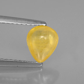 Saphir jaune naturelle transparent, 1,22 ct, transparent / translucide
