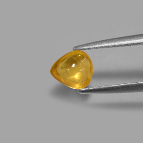 Saphir jaune naturelle transparent, 0,80 ct, transparent / translucide