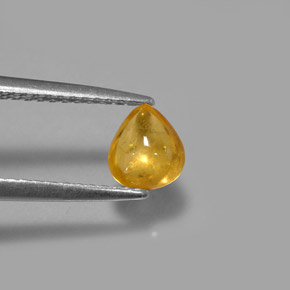 Saphir jaune naturelle transparent, 0,80 ct, transparent / translucide