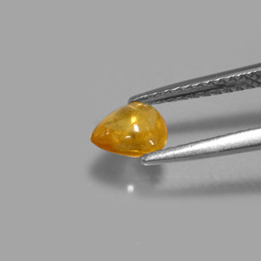 Saphir jaune naturelle transparent, 0,80 ct, transparent / translucide