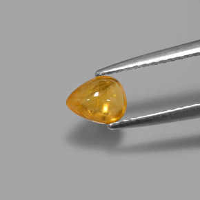 Saphir jaune naturelle transparent, 0,75 ct, transparent / translucide