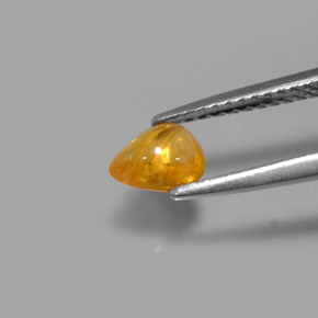 Saphir jaune naturelle transparent, 0,75 ct, transparent / translucide
