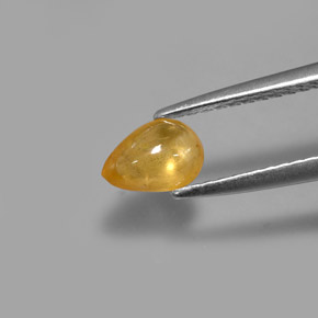 Saphir jaune naturelle transparent, 0,68 ct, transparent / translucide