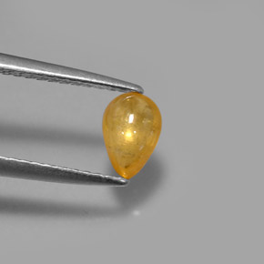 Saphir jaune naturelle transparent, 0,68 ct, transparent / translucide