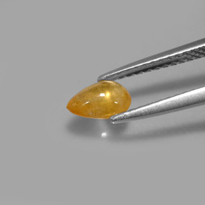 Saphir jaune naturelle transparent, 0,68 ct, transparent / translucide