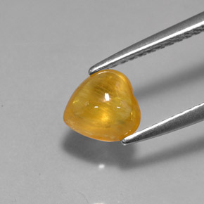 Saphir jaune naturelle transparent, 1,41 ct, transparent / translucide