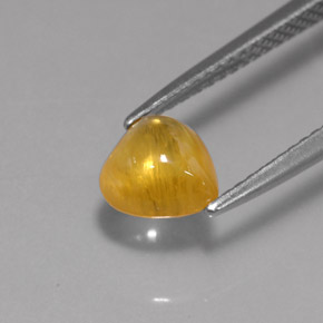 Saphir jaune naturelle transparent, 1,41 ct, transparent / translucide