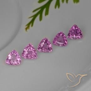 Achetez naturel 1,44ct pourpre saphir gems, trillion, en provenance tanzanie chez gemselect. en stock, livraison internationale!