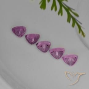 Achetez naturel 1,44ct pourpre saphir gems, trillion, en provenance tanzanie chez gemselect. en stock, livraison internationale!