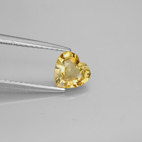 Saphir jaune naturelle forme de coeur, 0,79 ct, VVS-VS