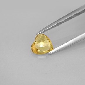 Saphir jaune naturelle forme de coeur, 0,79 ct, VVS-VS