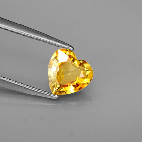 Saphir jaune naturelle forme de coeur, 0,88 ct, VVS-VS