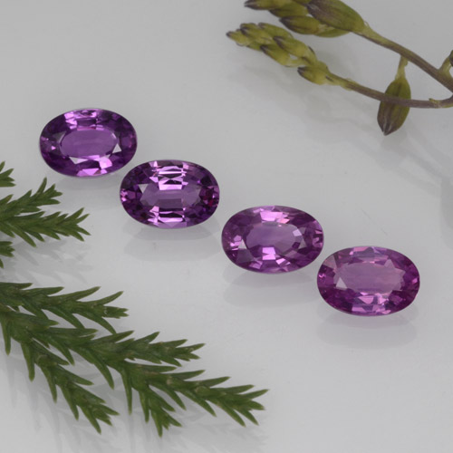 Achetez naturel 2,23ct pourpre saphir gems, coupe ovale, en provenance tanzanie chez gemselect. en stock, livraison internationale!