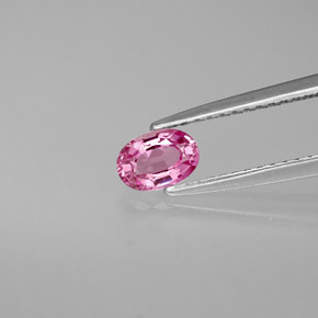 Saphir rose naturelle coupe ovale, 0,53 ct, VVS