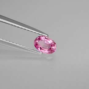 Saphir rose naturelle coupe ovale, 0,53 ct, VVS