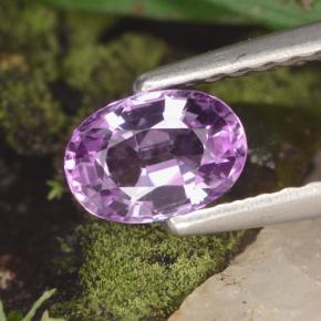 Saphir violet naturelle coupe ovale, 0,60 ct, VVS-VS