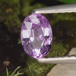 Saphir violet naturelle coupe ovale, 0,60 ct, VVS-VS