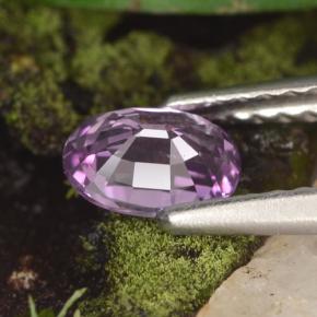 Saphir violet naturelle coupe ovale, 0,60 ct, VVS-VS