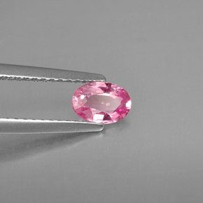 Saphir rose naturelle coupe ovale, 0,53 ct, VS