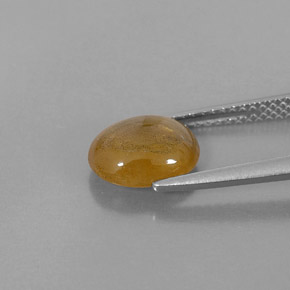Saphir or naturelle transparent, 2,72 ct, transparent / translucide