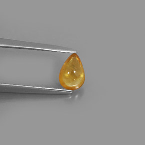 Saphir jaune naturelle transparent, 0,82 ct, transparent / translucide