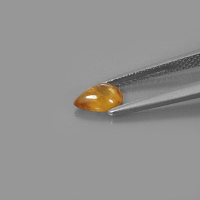 Saphir jaune naturelle transparent, 0,82 ct, transparent / translucide
