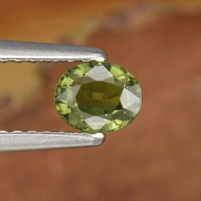 Saphir vert naturelle coupe ovale, 0,52 ct, VVS-VS